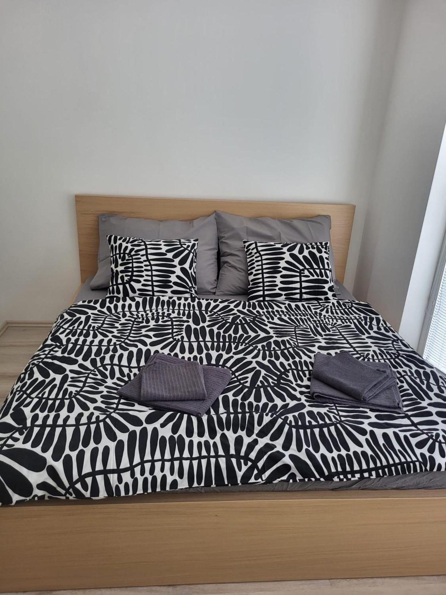 City Center Apartments - Moderna Brno Rimske Namesti V エクステリア 写真